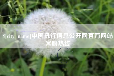 沙河中国执行信息公开网官方网站客服热线