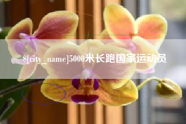 沙河5000米长跑国家运动员