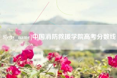 沙河中国消防救援学院高考分数线