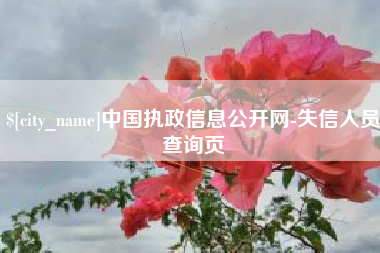 沙河中国执政信息公开网-失信人员查询页