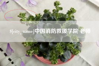 沙河中国消防救援学院 老师