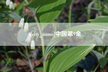 沙河中国第9金