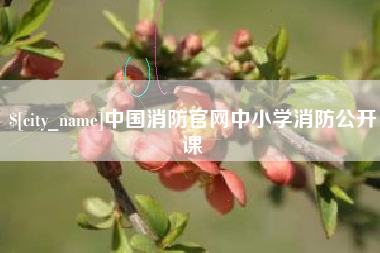 沙河中国消防官网中小学消防公开课