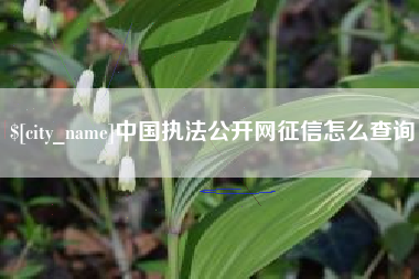 沙河中国执法公开网征信怎么查询