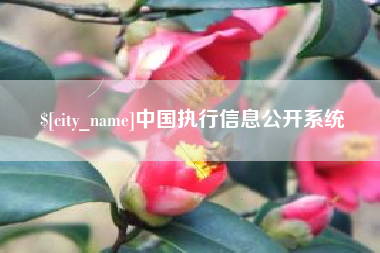 沙河中国执行信息公开系统