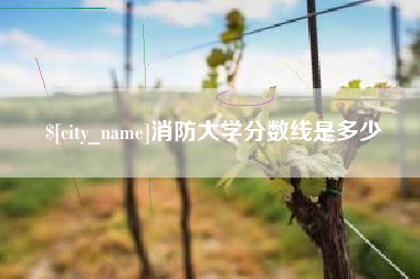 沙河消防大学分数线是多少