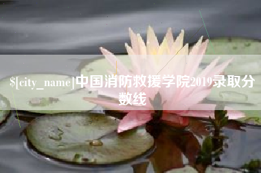 沙河中国消防救援学院2019录取分数线
