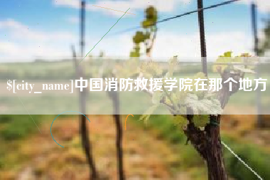 沙河中国消防救援学院在那个地方