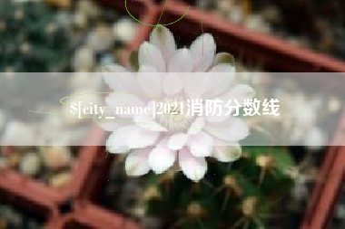 沙河2021消防分数线