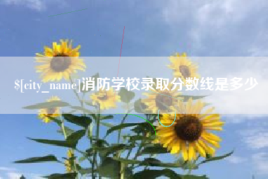 沙河消防学校录取分数线是多少