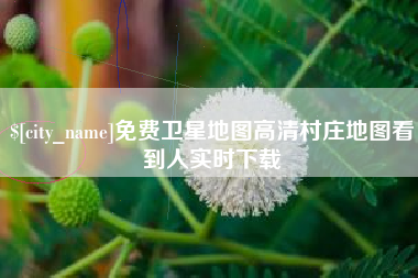 沙河免费卫星地图高清村庄地图看到人实时下载