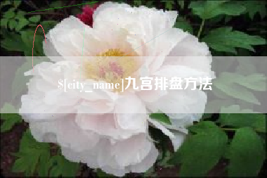 沙河九宫排盘方法