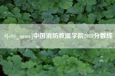 沙河中国消防救援学院2018分数线