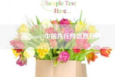 沙河中国执行网信息官网