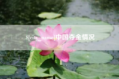 沙河中国夺金情况