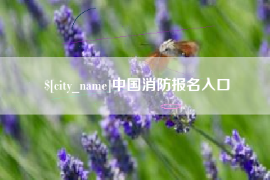 沙河中国消防报名入口