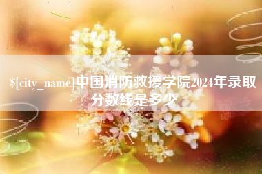 沙河中国消防救援学院2024年录取分数线是多少
