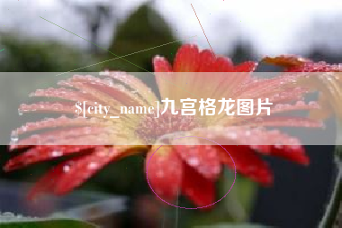 沙河九宫格龙图片