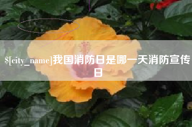 沙河我国消防日是哪一天消防宣传日