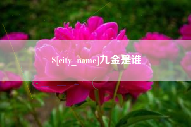 沙河九金是谁