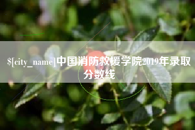 沙河中国消防救援学院2019年录取分数线