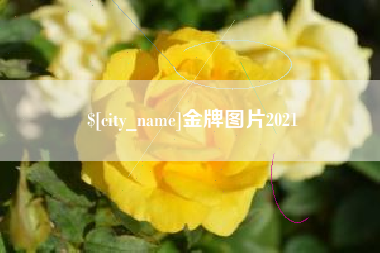 沙河金牌图片2021