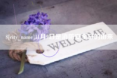 沙河11月9日是消防安全日的由来