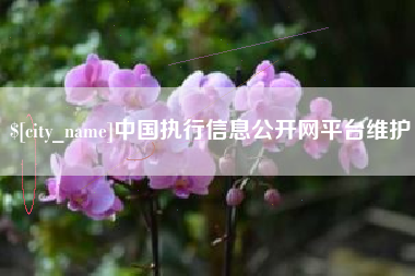 沙河中国执行信息公开网平台维护