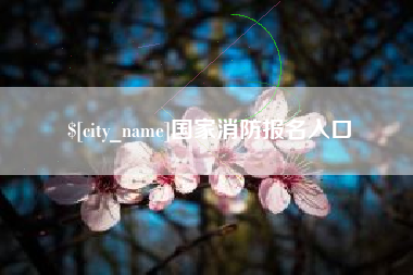 沙河国家消防报名入口