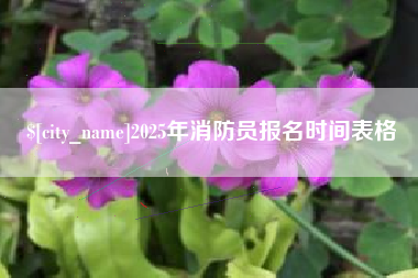 沙河2025年消防员报名时间表格