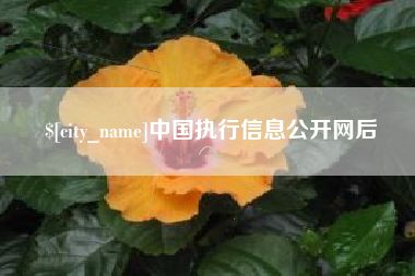沙河中国执行信息公开网后
