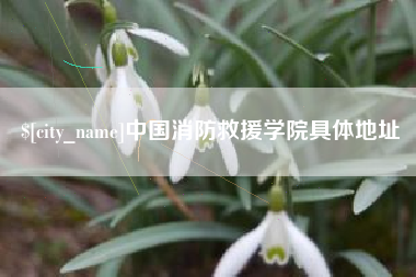 沙河中国消防救援学院具体地址