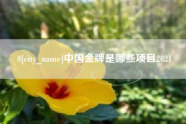 沙河中国金牌是哪些项目2021