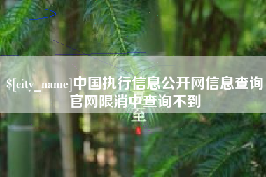 沙河中国执行信息公开网信息查询官网限消中查询不到