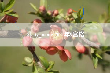 沙河2021年9宫格