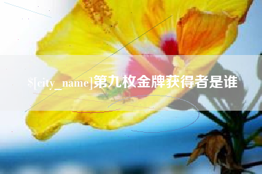 沙河第九枚金牌获得者是谁