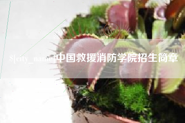 沙河中国救援消防学院招生简章
