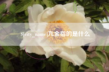 沙河九金指的是什么