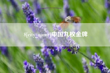 沙河中国九枚金牌
