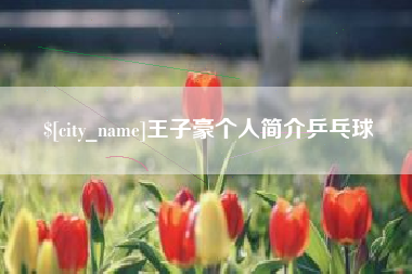 沙河王子豪个人简介乒乓球