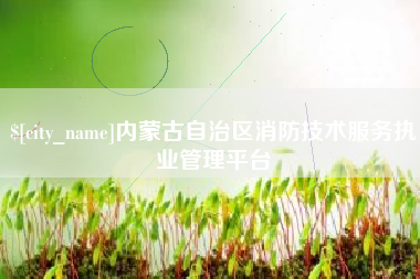 沙河内蒙古自治区消防技术服务执业管理平台