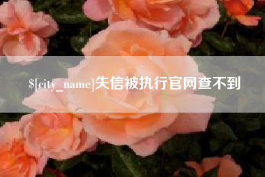 沙河失信被执行官网查不到