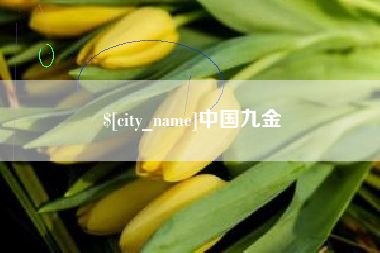 沙河中国九金
