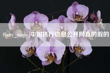 沙河中国执行信息公开网真的假的