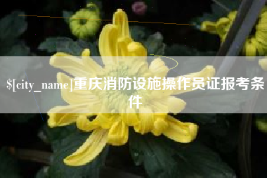 沙河重庆消防设施操作员证报考条件
