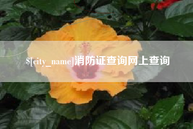 沙河消防证查询网上查询