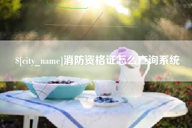 沙河消防资格证怎么查询系统