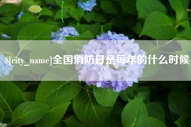 沙河全国消防日是每年的什么时候
