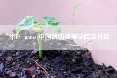 沙河中国消防救援学院录分线