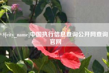 沙河中国执行信息查询公开网查询官网